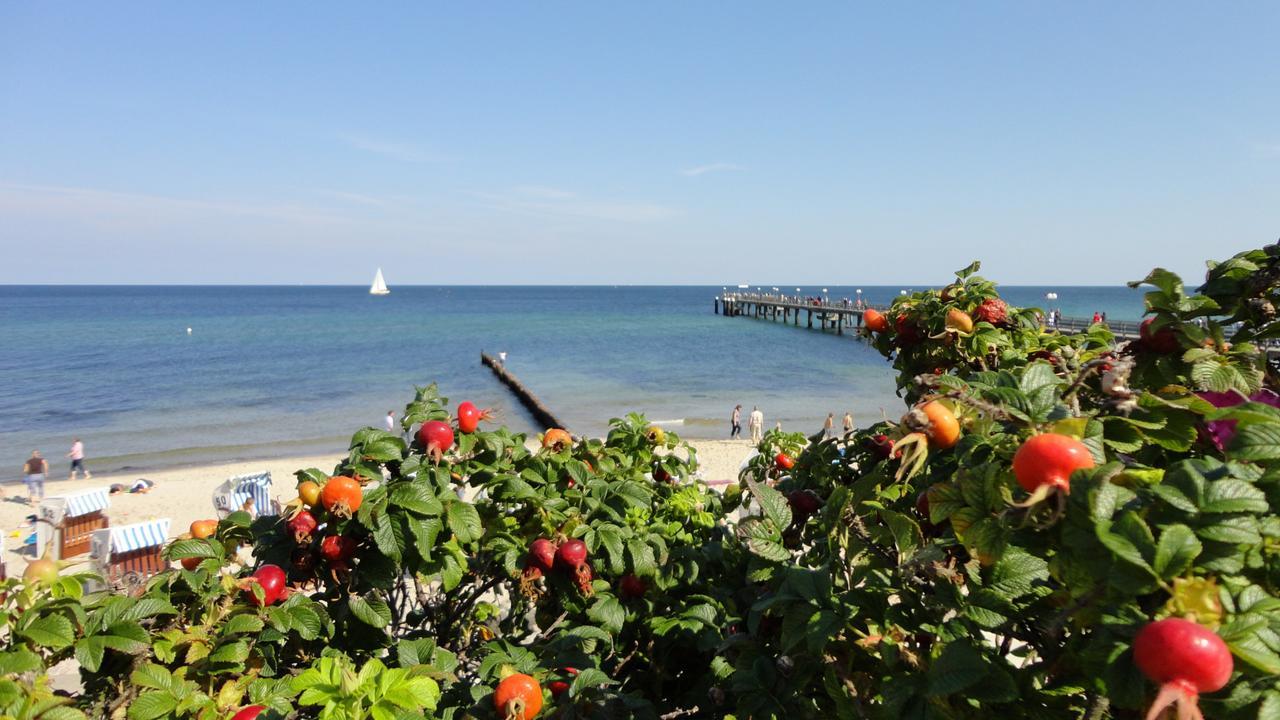 Parkhotel IV Jahreszeiten Ostseebad Kühlungsborn Extérieur photo